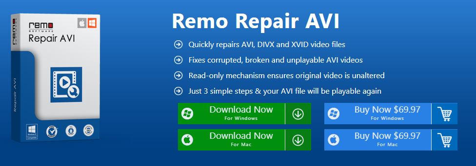 Remo Repair AVI