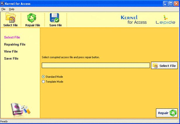 kernel for access database repair