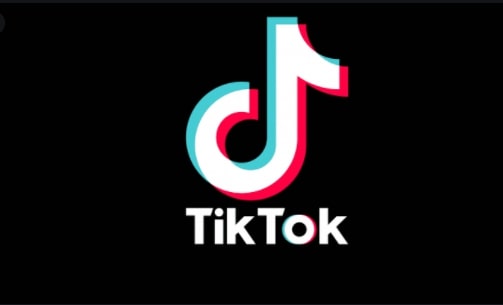 TikTok interactive ads for brands
