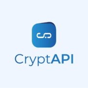 CryptAPI Plug-in to Facilitate Crypto Business Payments