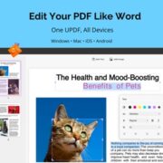 UPDF Review: PDF Editing Software Like No Other (20% OFF)